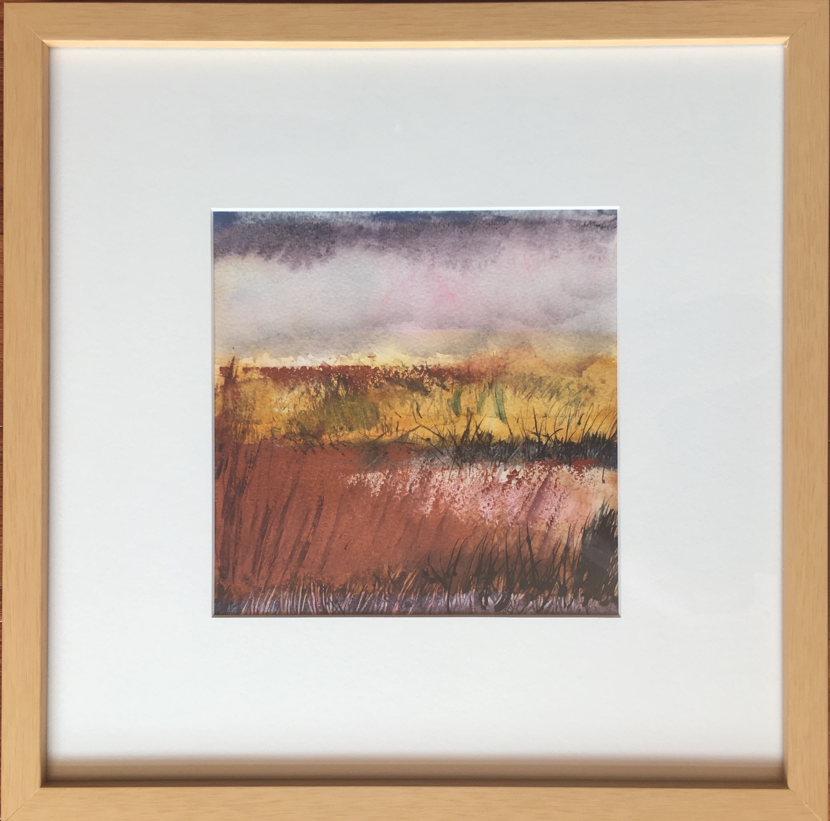 Colorado Red Mountain Prairie Terror by Ann Stretton