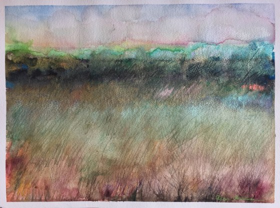 Beyond the Scrub Brush by Ann Stretton