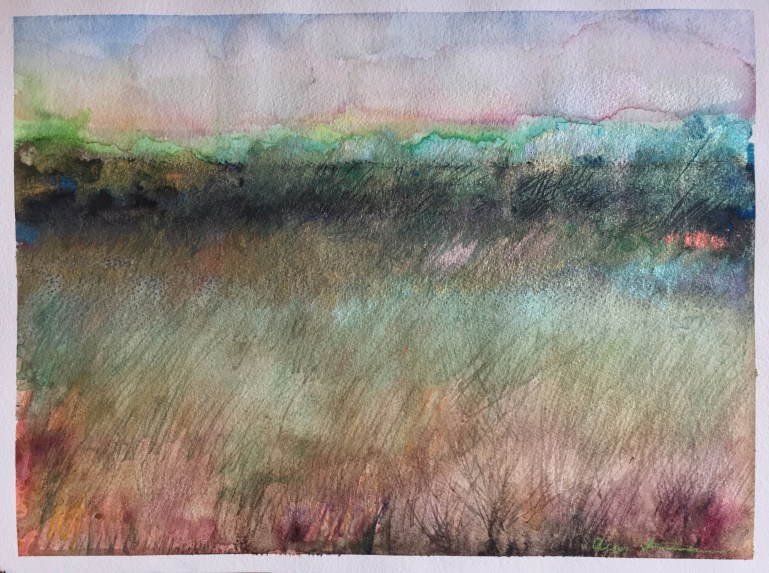 Beyond the Scrub Brush by Ann Stretton