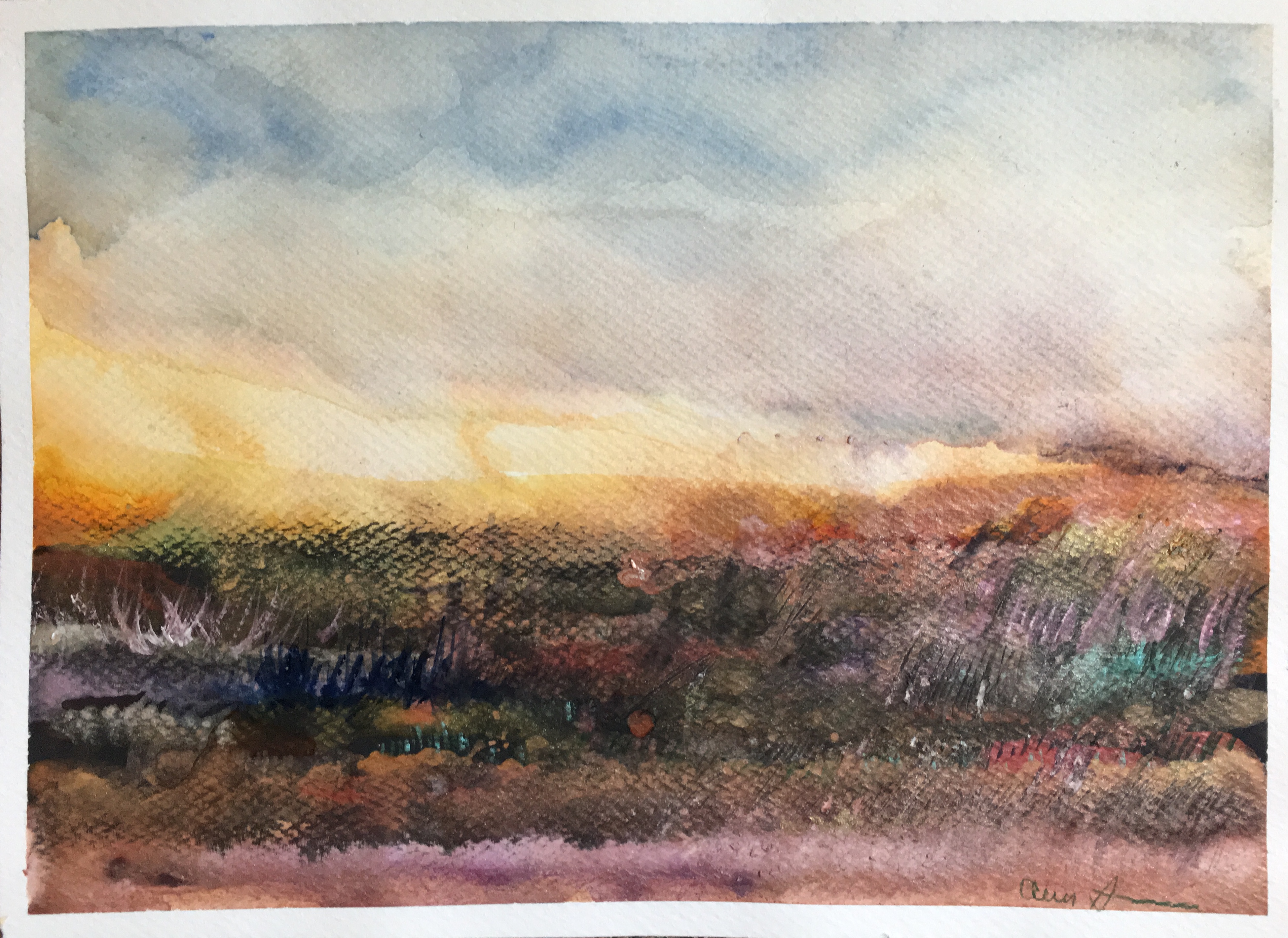 Don't Worry I'm Leaving, Chief Niwot by Ann Stretton