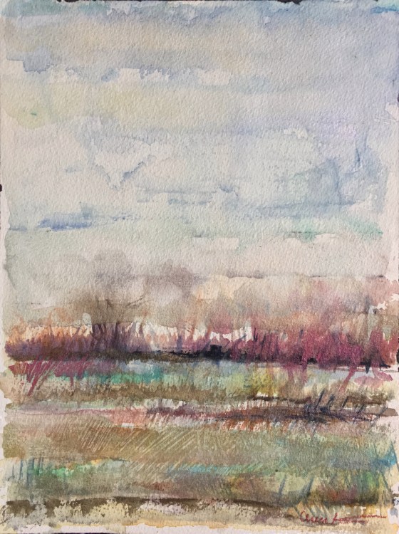 Floodplain by Ann Stretton