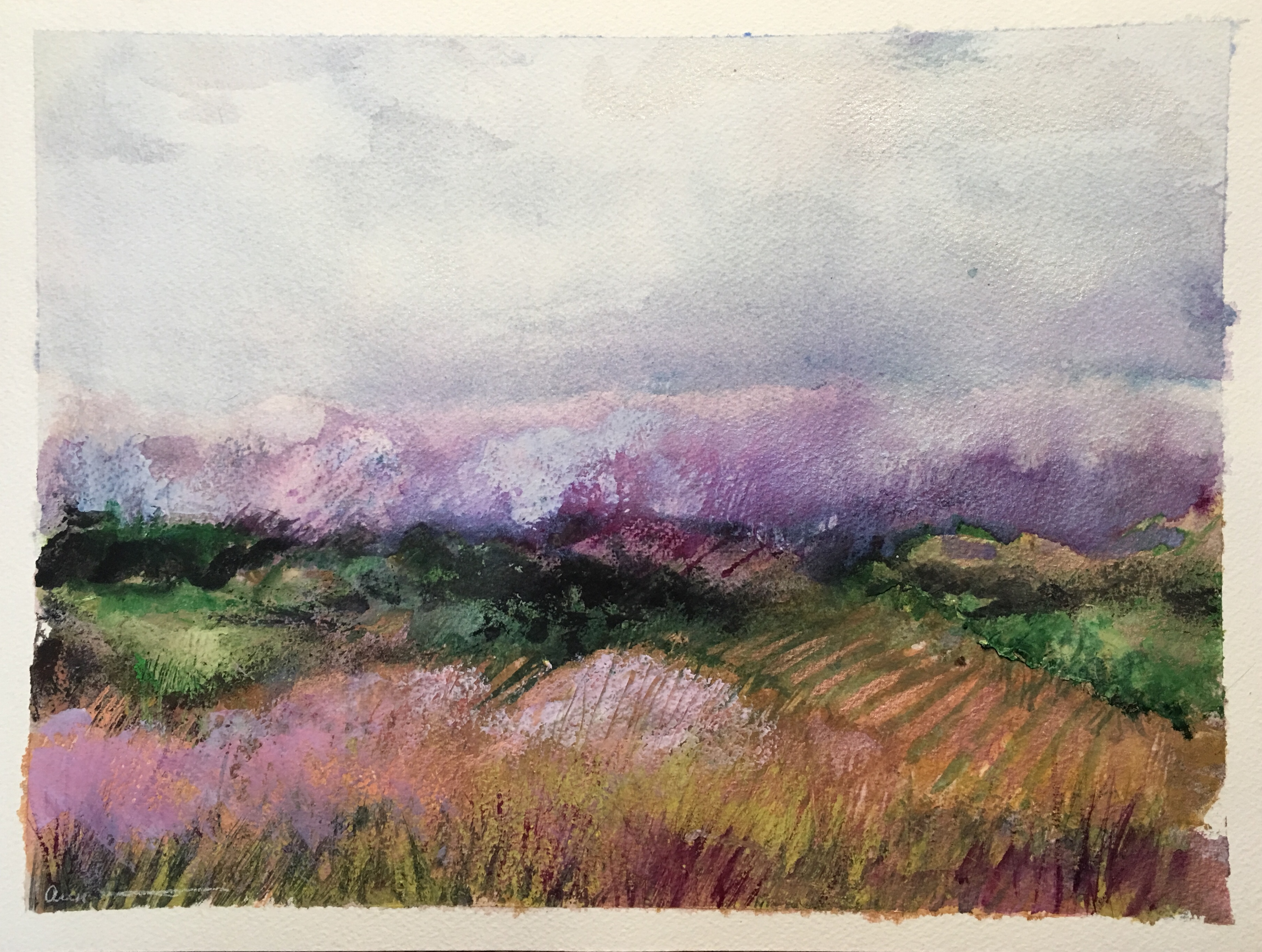 Meadowesque by Ann Stretton