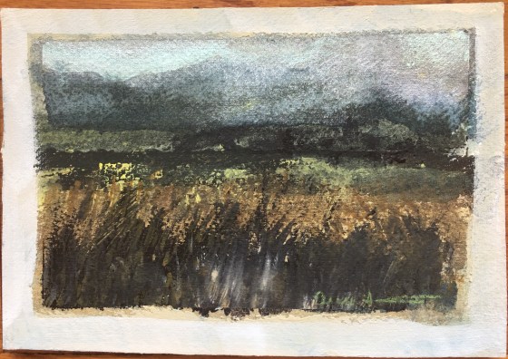 Postcard from Twilight by Ann Stretton