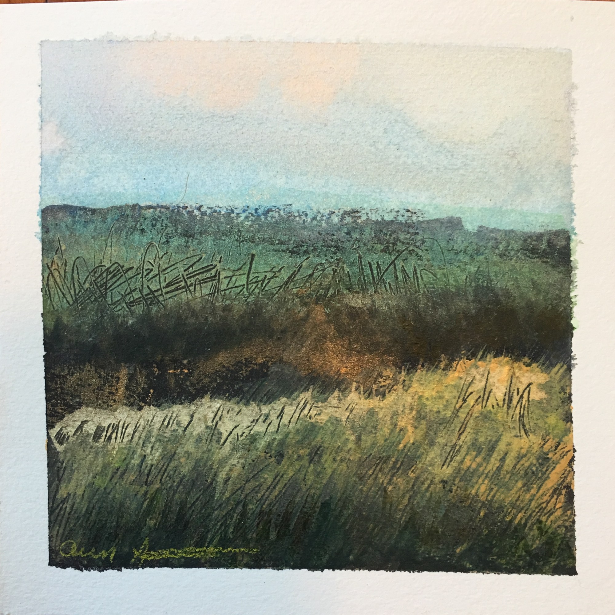 Southern Dane by Ann Stretton