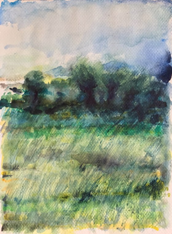 Summerwind by Ann Stretton