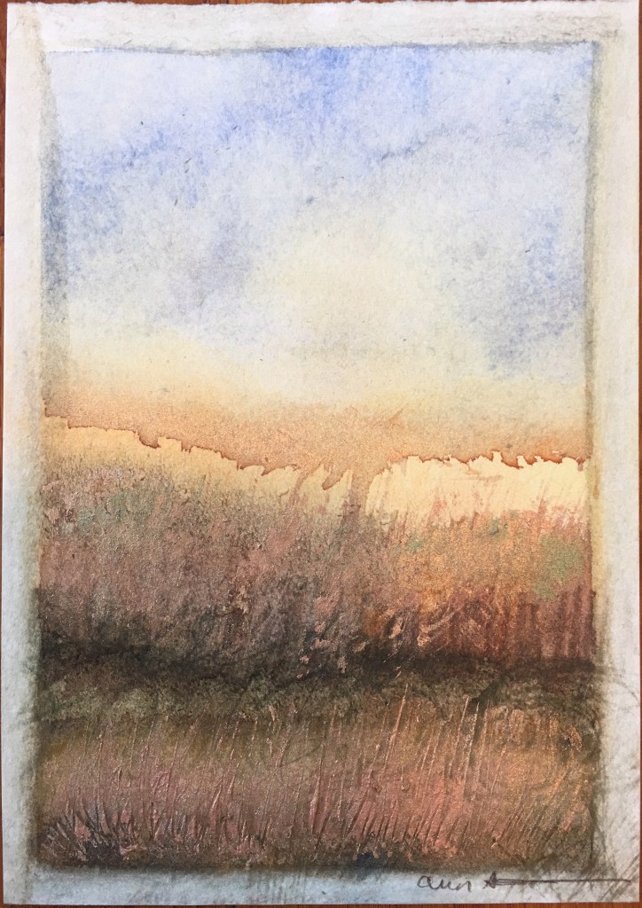 Wheatfield by Ann Stretton