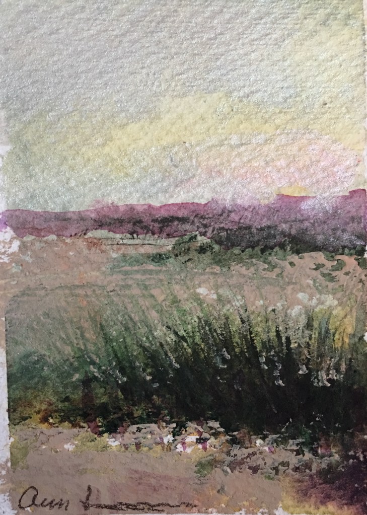 A High Probability of Lizards by Ann Stretton