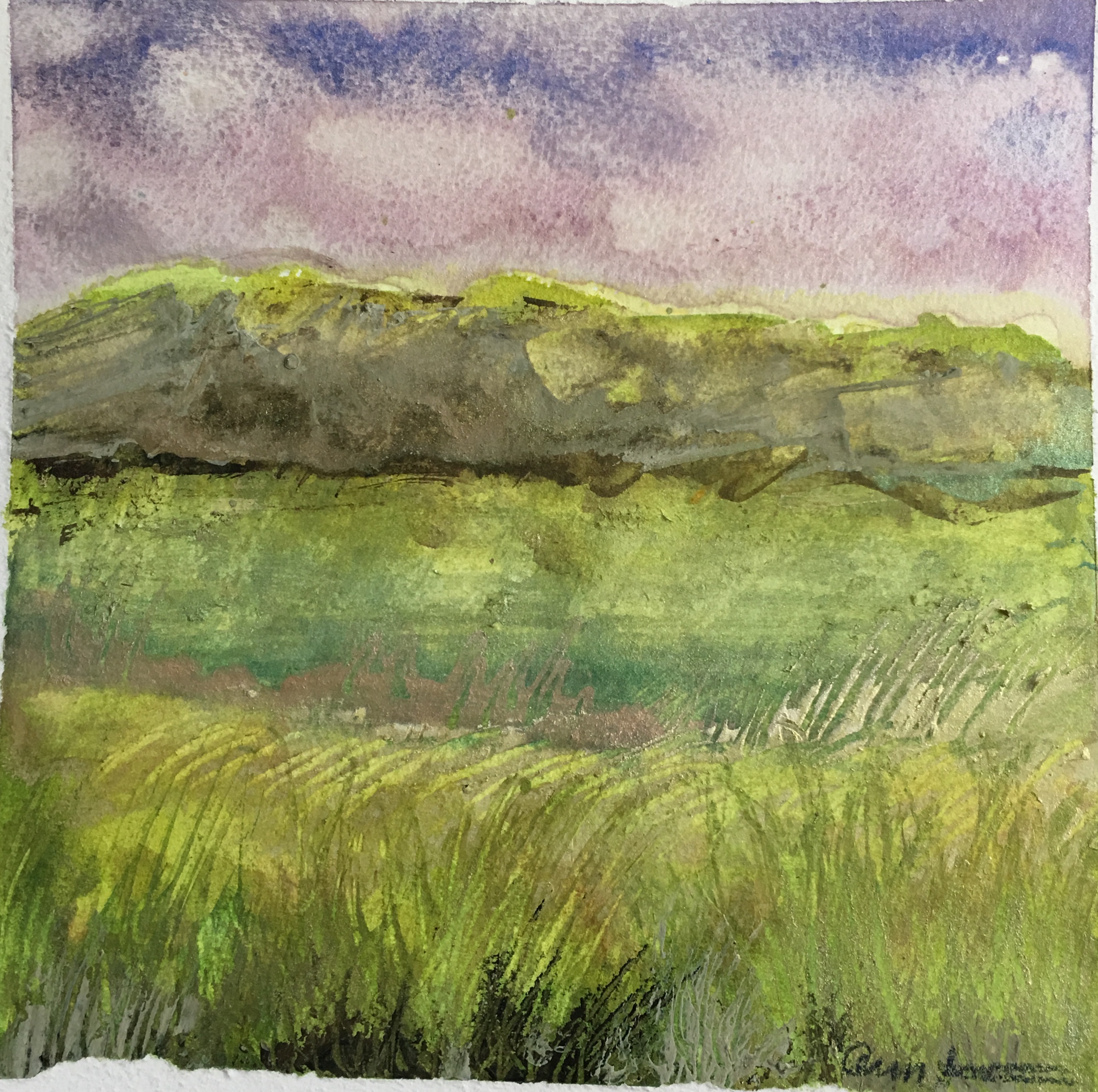 Admittedly, Sometimes it was Pleasant by Ann Stretton