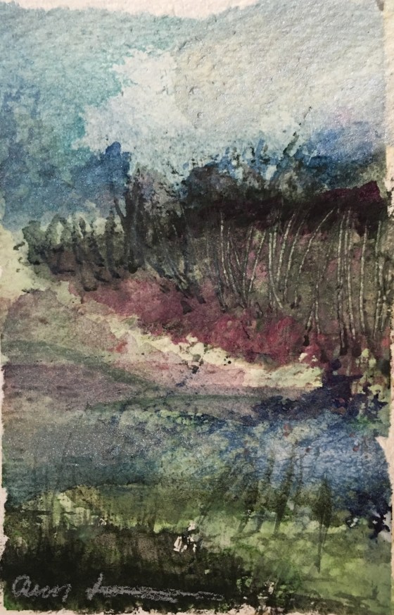 Disoriented Nature Walk by Ann Stretton