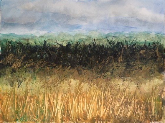 Fallowburn by Ann Stretton