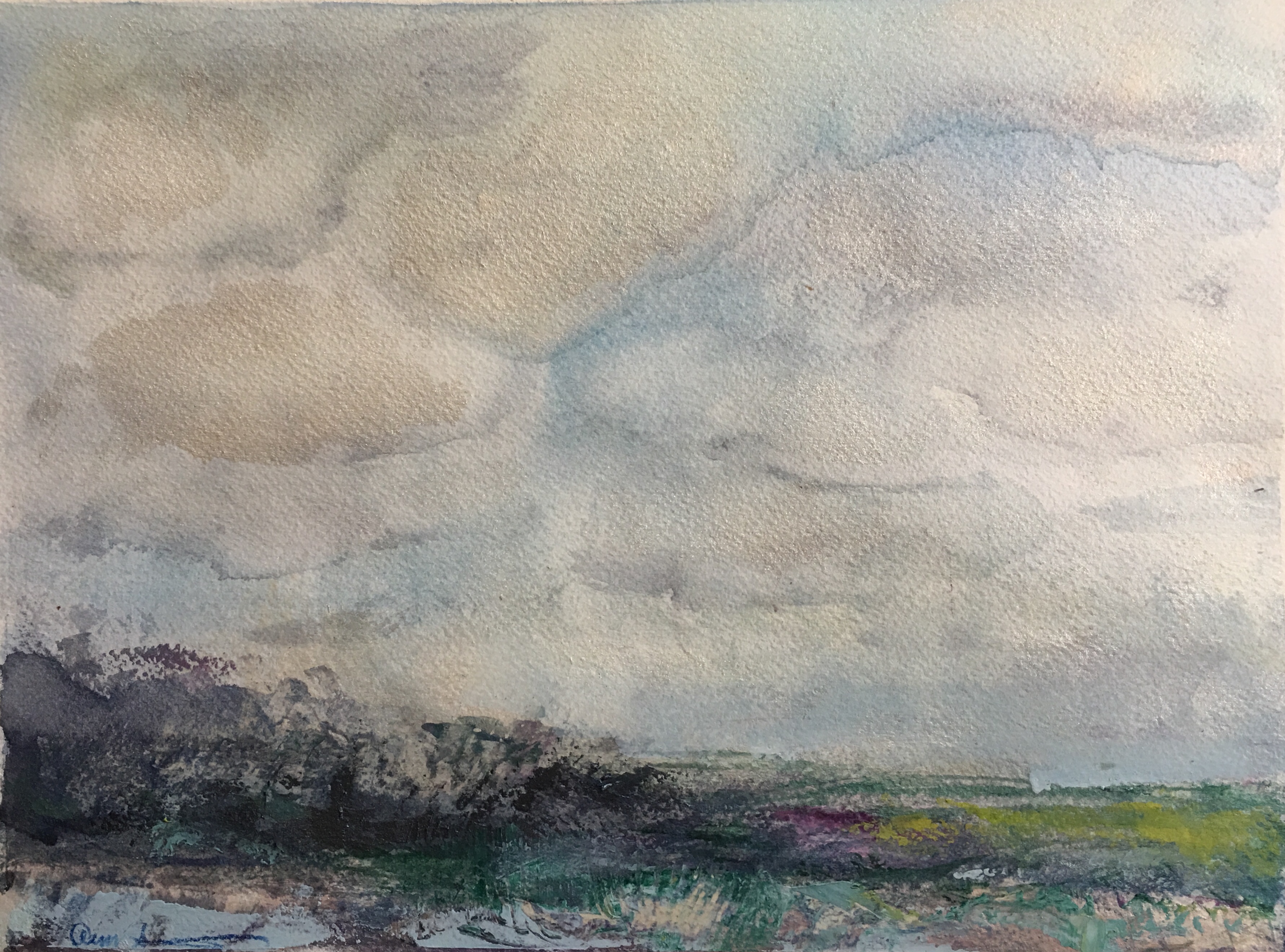 Northern Bluster by Ann Stretton