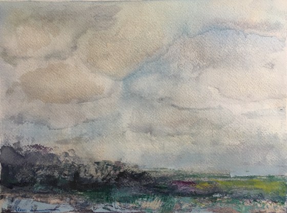 Northern Bluster by Ann Stretton