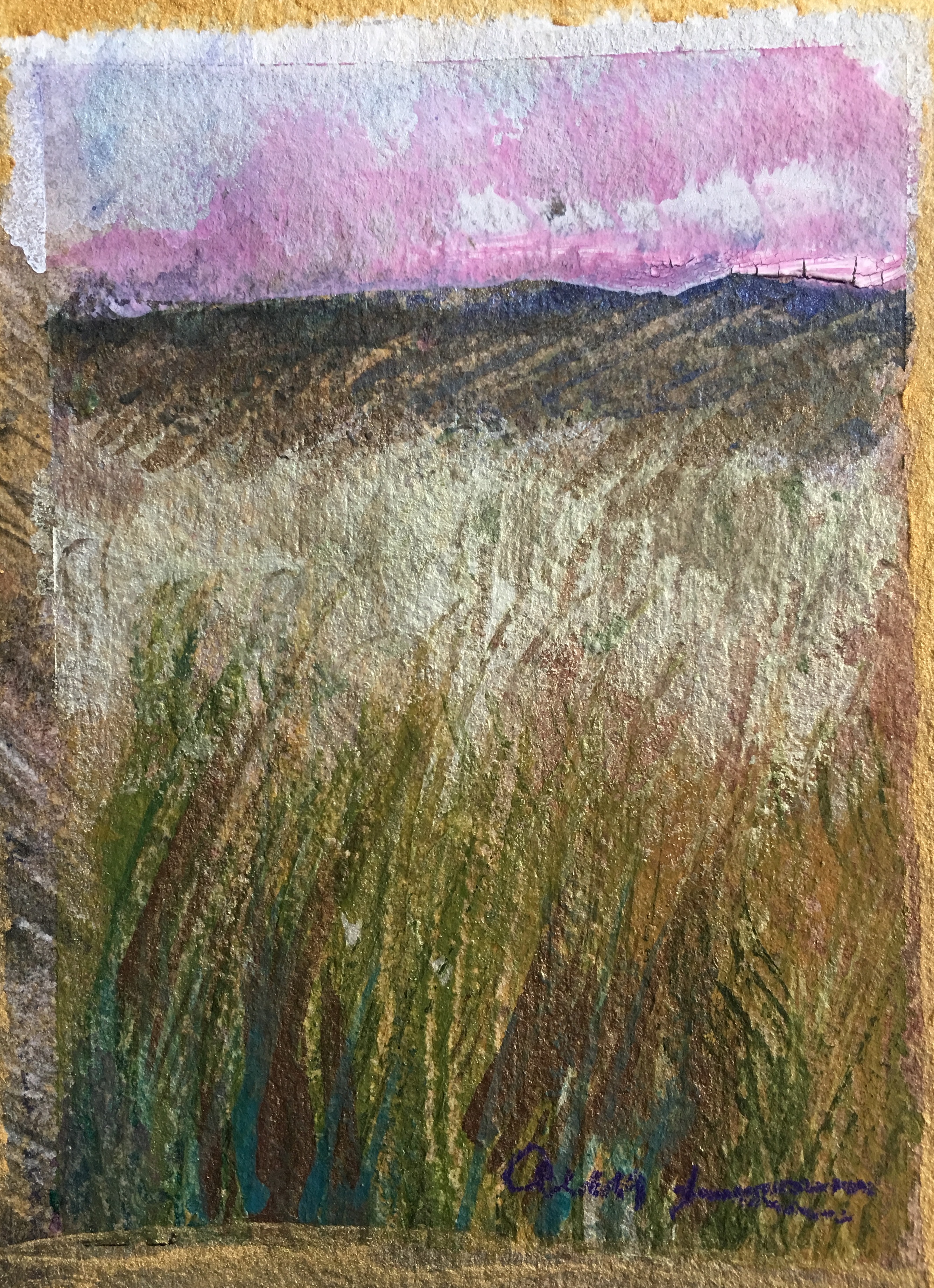 Pink Sunset by Ann Stretton