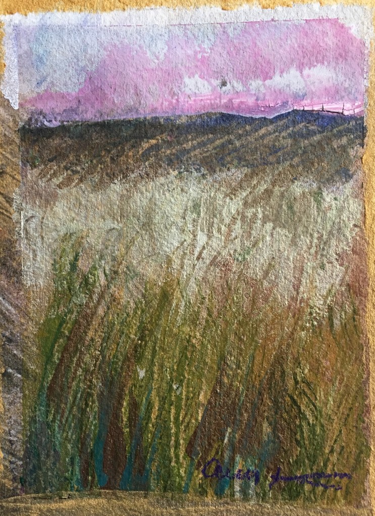 Pink Sunset by Ann Stretton