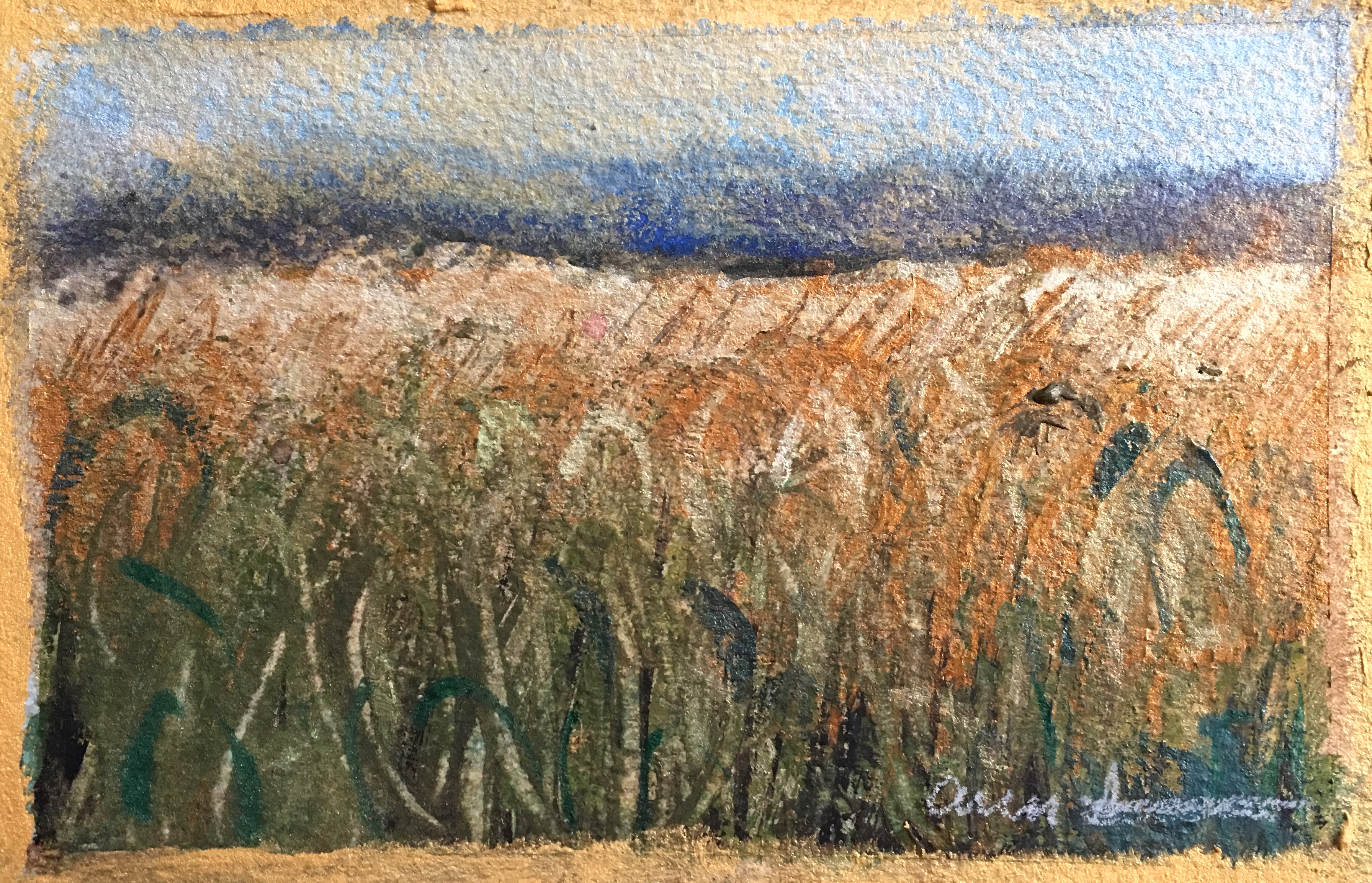 Postcard from Cornfield by Ann Stretton