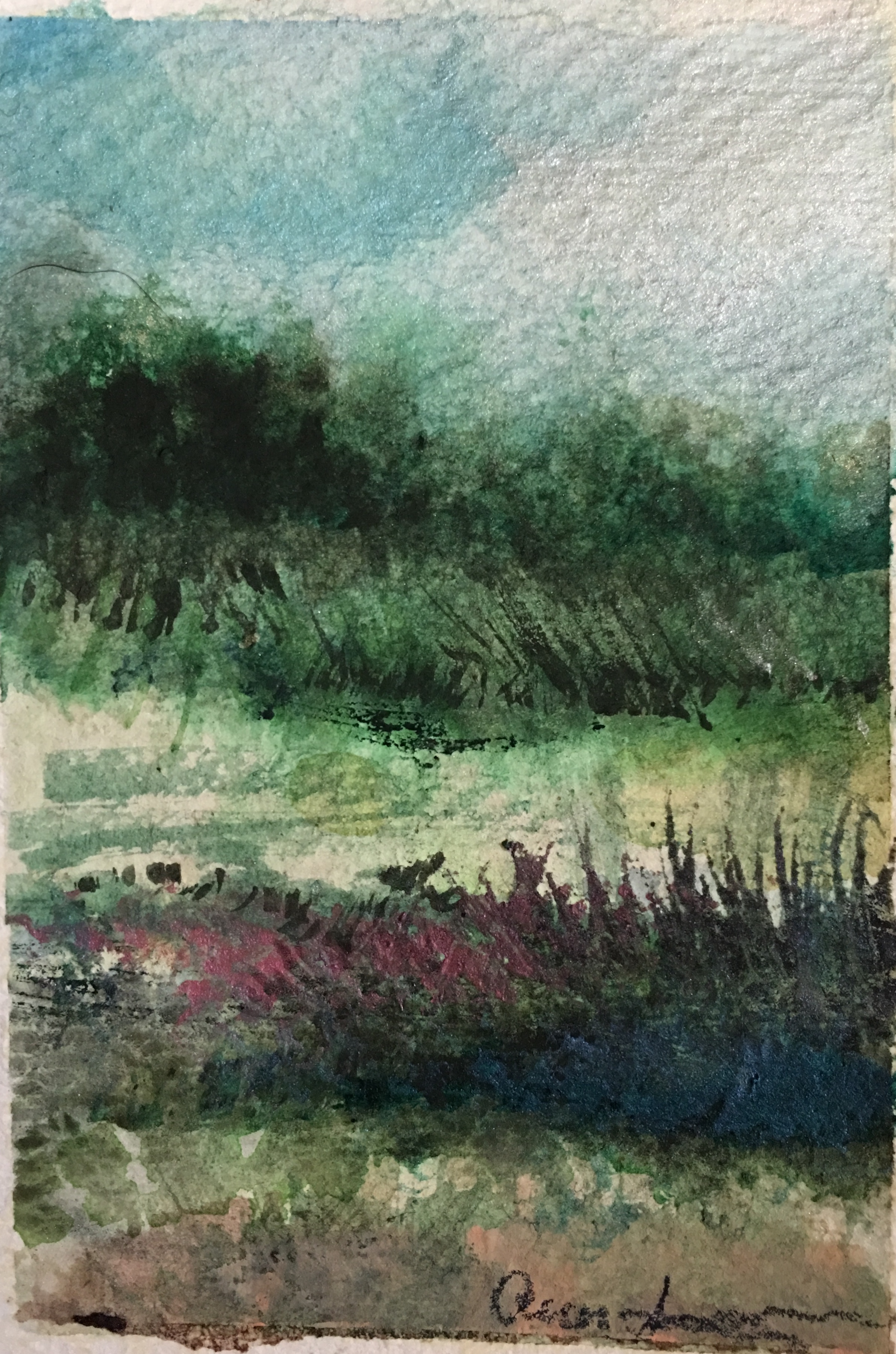 Were There Toads? by Ann Stretton