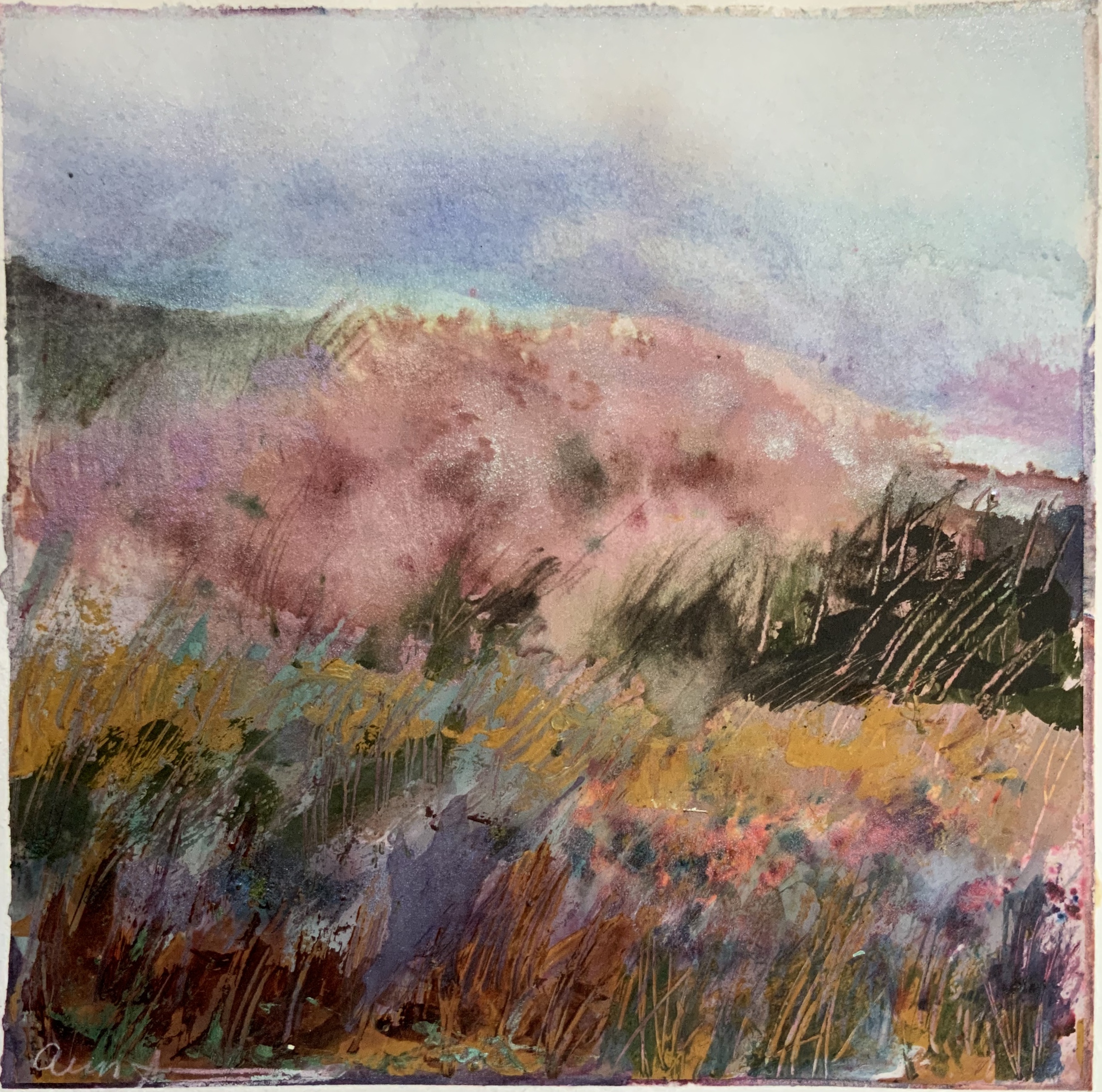 Flowering Tree Hillside by Ann Stretton