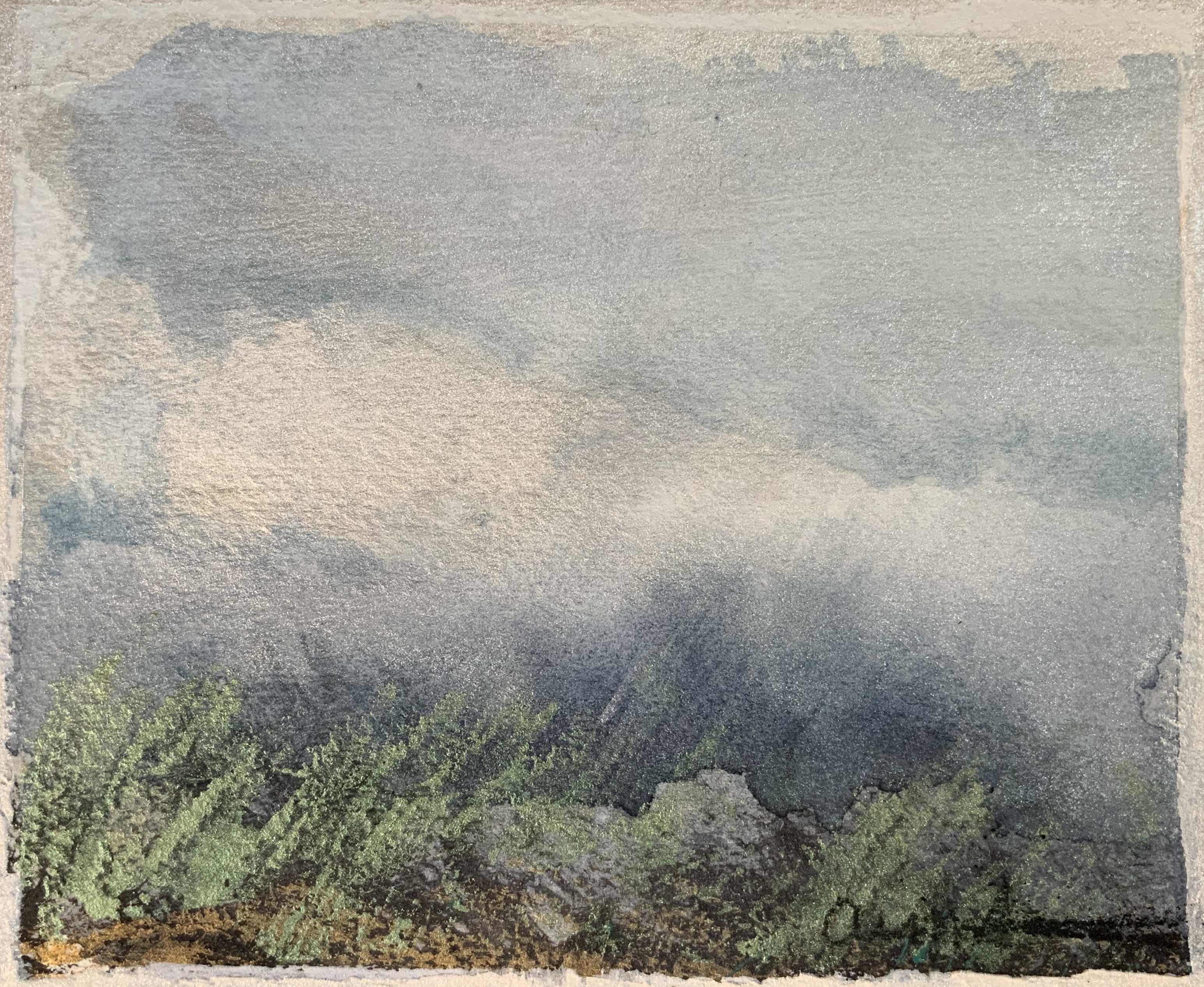 On the Mountain with Storm by Ann Stretton